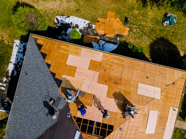 Best Roof Maintenance Services  in Donald, OR